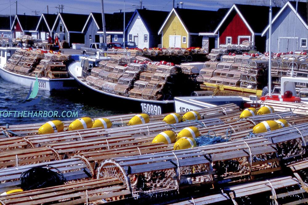 Photo of Outdoor in North Rustico