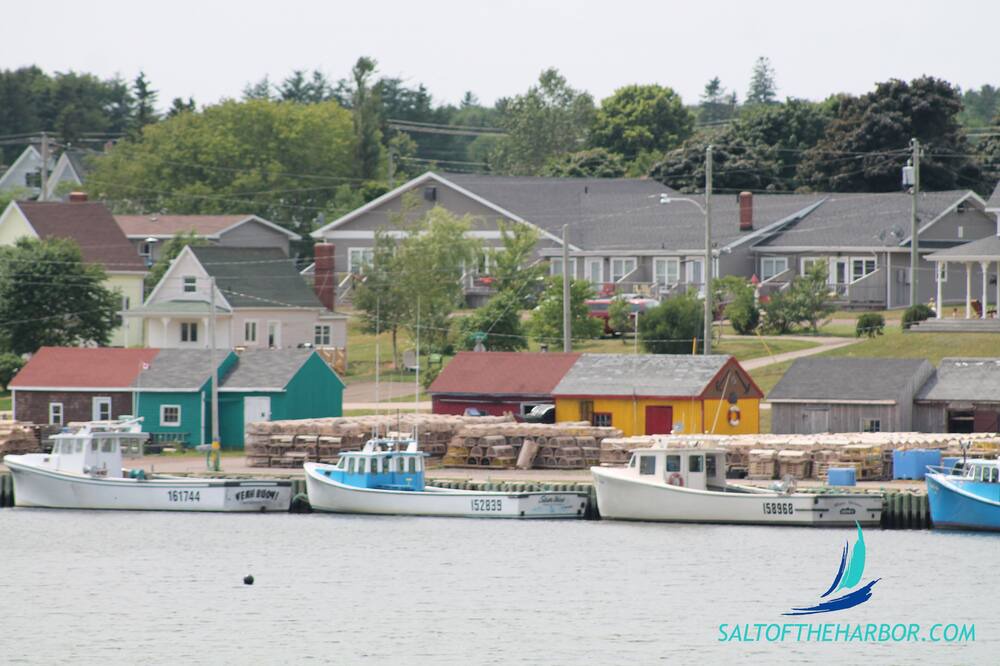 Photo of Outdoor in North Rustico