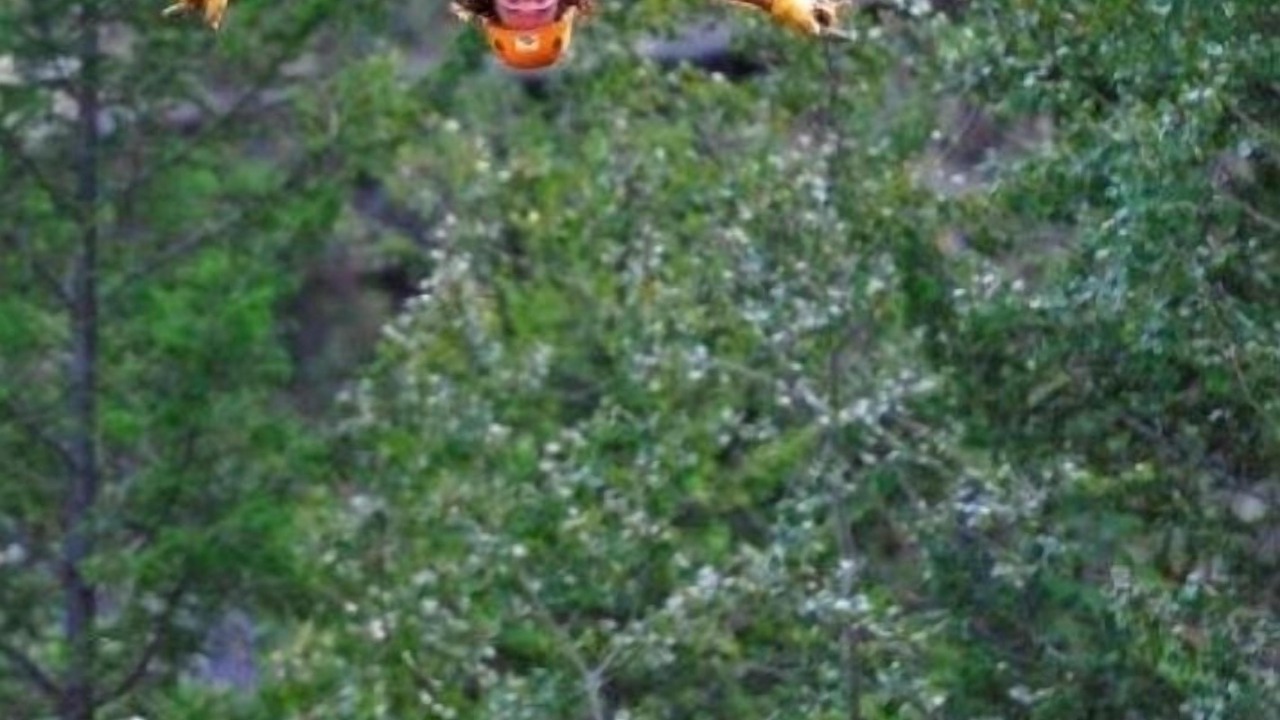 Photo of Others in Central Okanagan