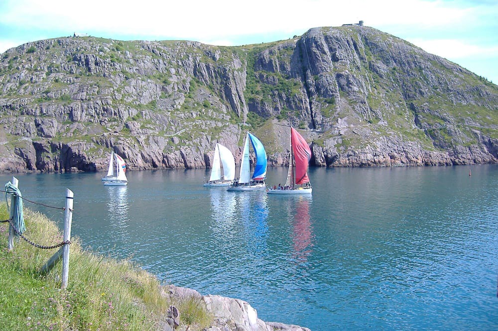 Photo of Others in The Battery