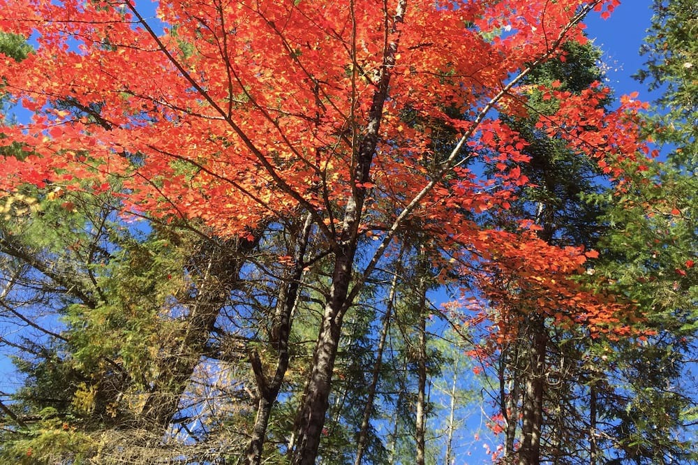 Photo of Others in Greater Madawaska