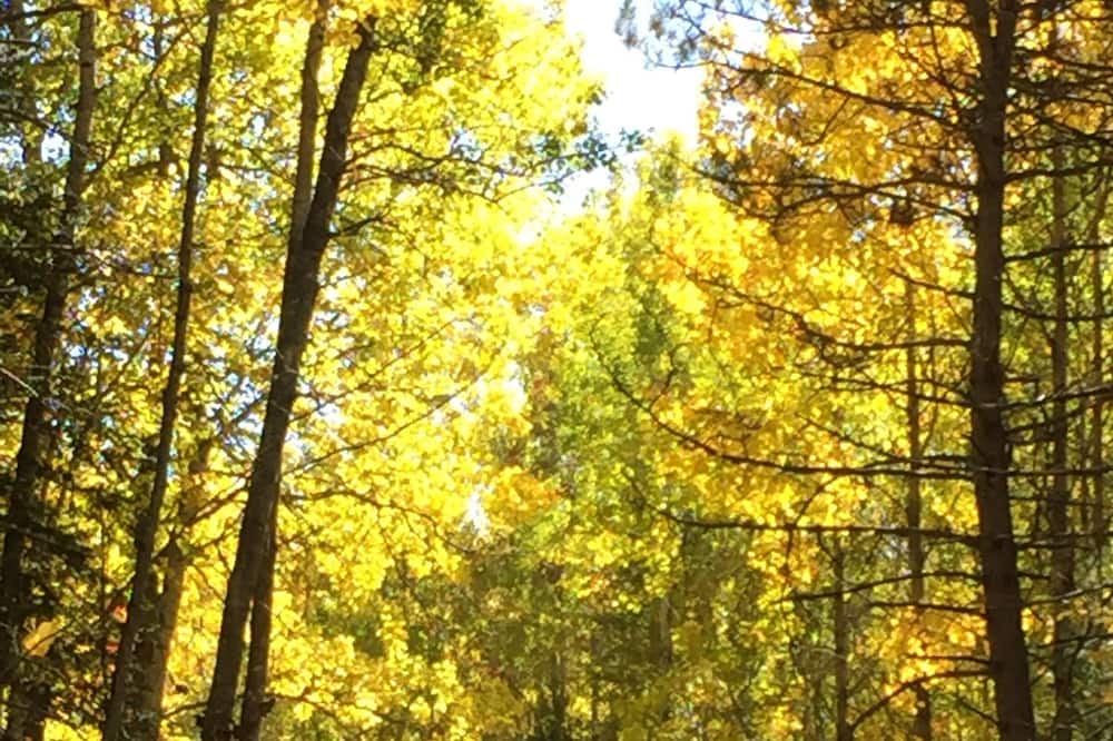 Photo of Others in Greater Madawaska
