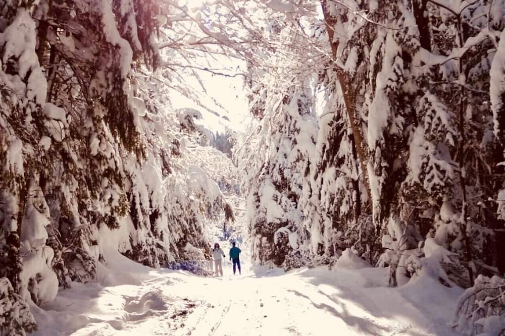 Photo of Others in Val David