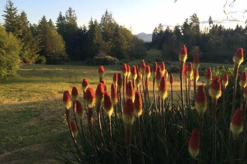 Photo of Others in Regional District of Nanaimo