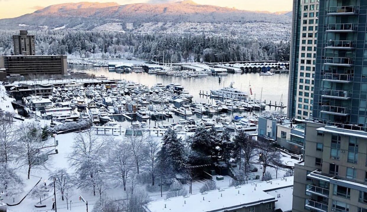 Photo of Others in Coal Harbour