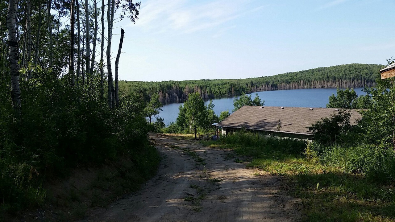 Photo of Outdoor in Leask
