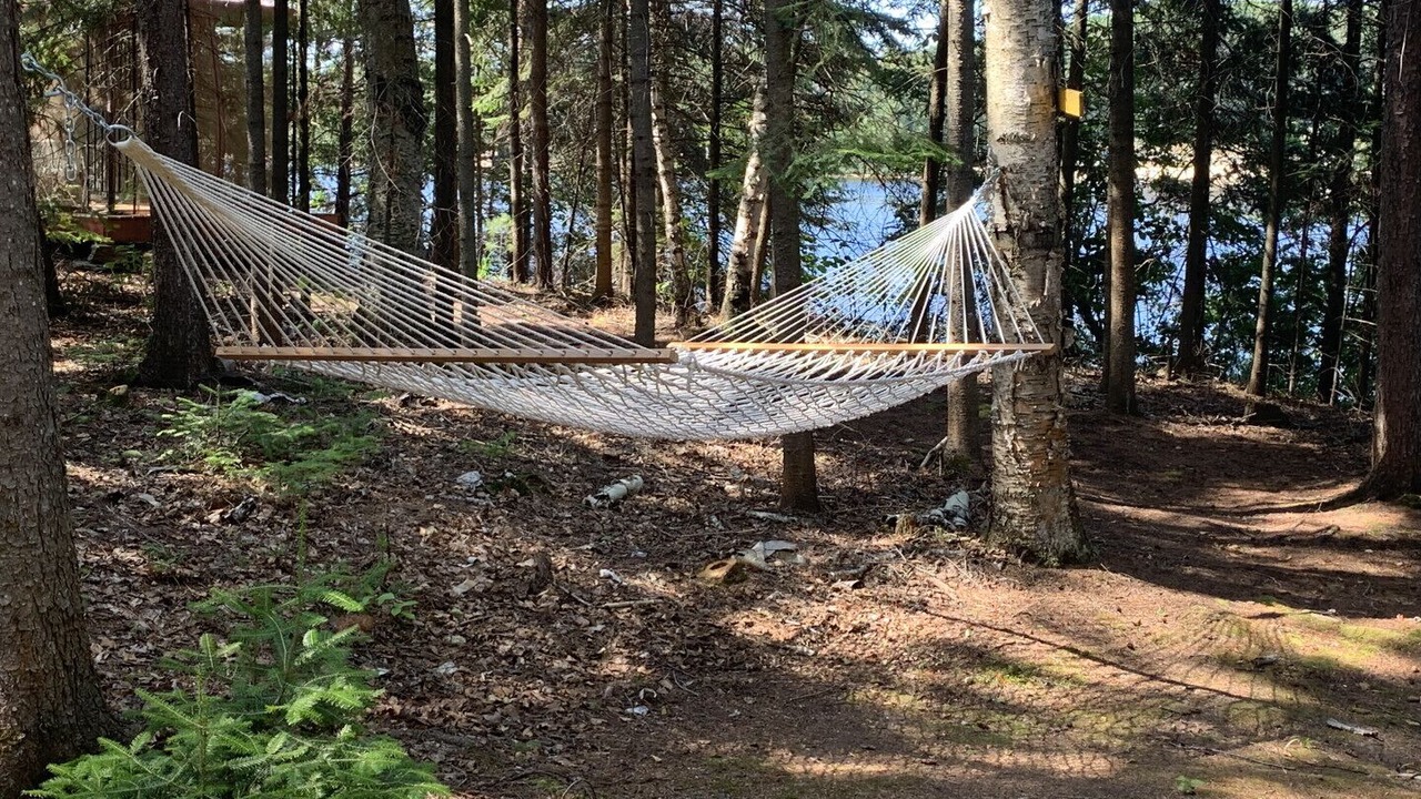 Photo of Outdoor in Algonquin Highlands