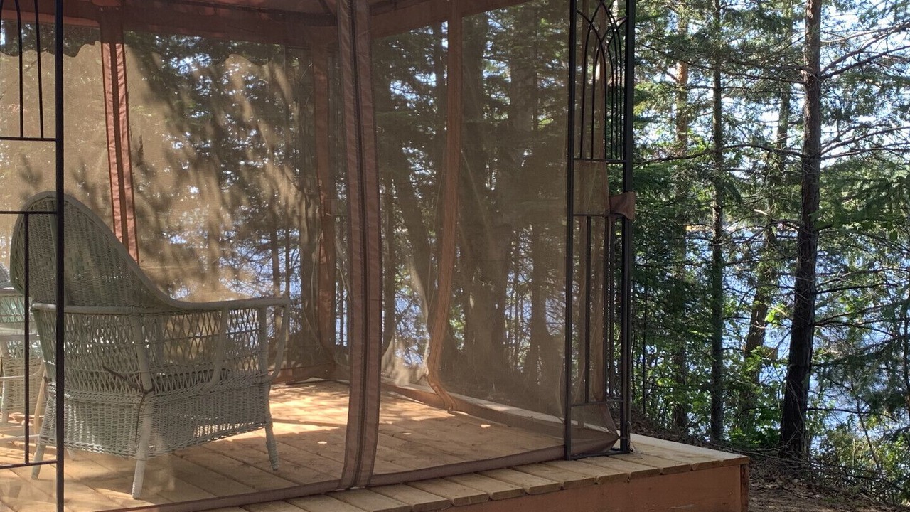 Photo of Outdoor in Algonquin Highlands
