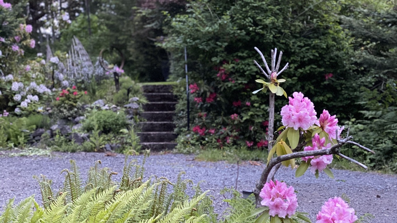 Photo of Outdoor in Victoria