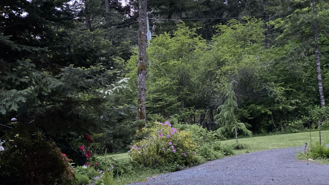Photo of Outdoor in Victoria