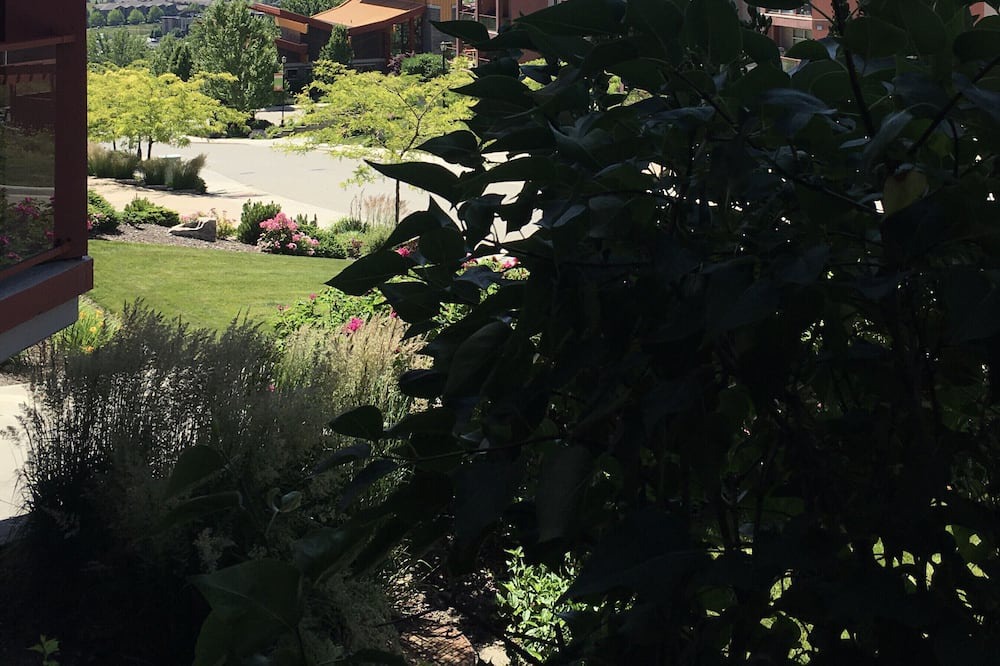 Photo of Outdoor in Shannon Lake