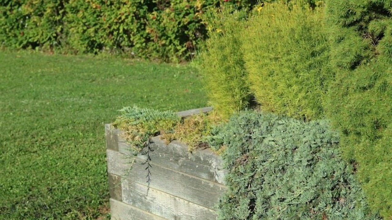 Photo of Outdoor in Digby