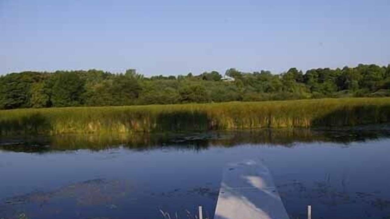 Photo of Others in Milford