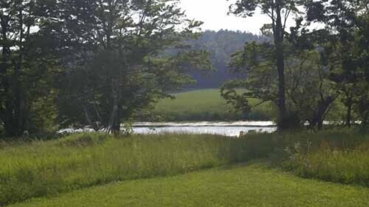 Photo of Outdoor in Milford