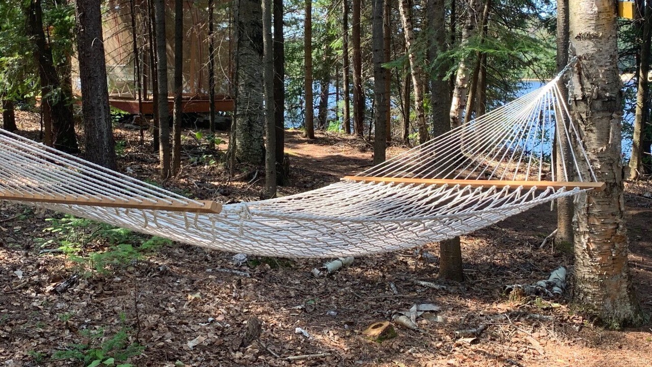 Photo of Outdoor in Algonquin Highlands