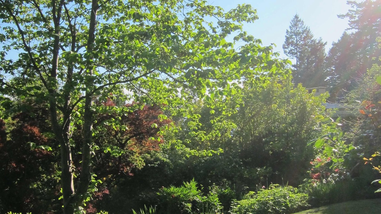 Photo of Outdoor in West Vancouver