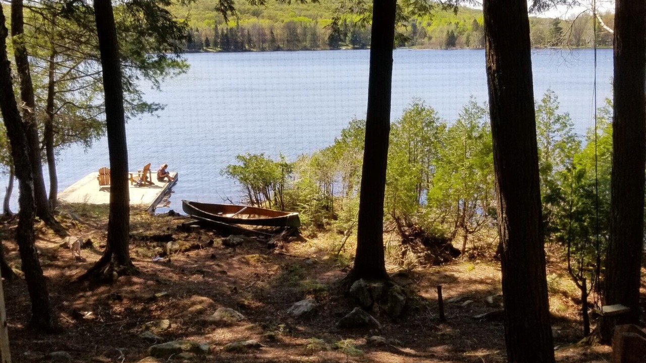 Photo of Others in Minden Hills