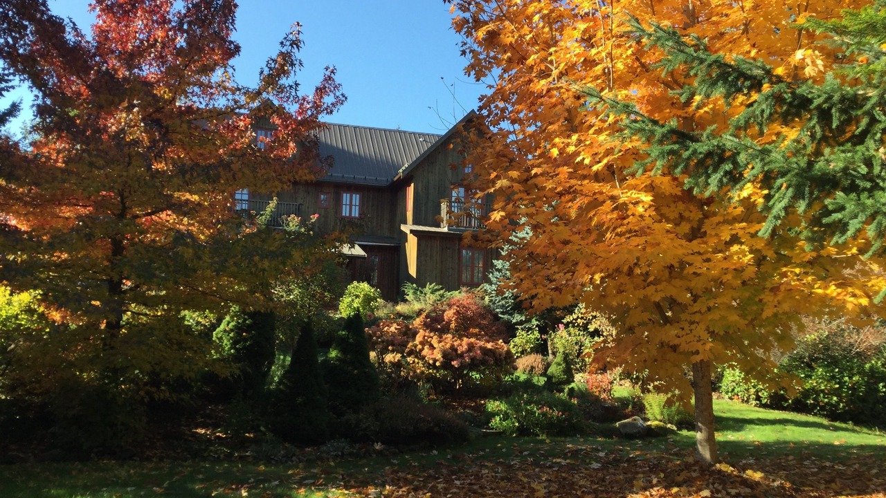 Photo of Outdoor in Salt Spring Island