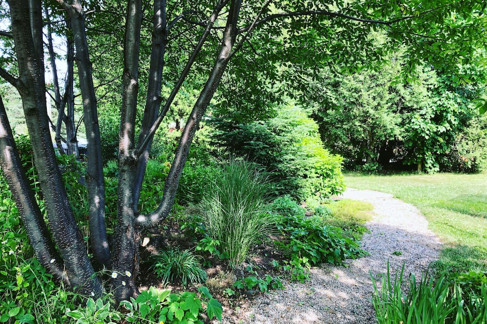 Photo of Outdoor in Val David
