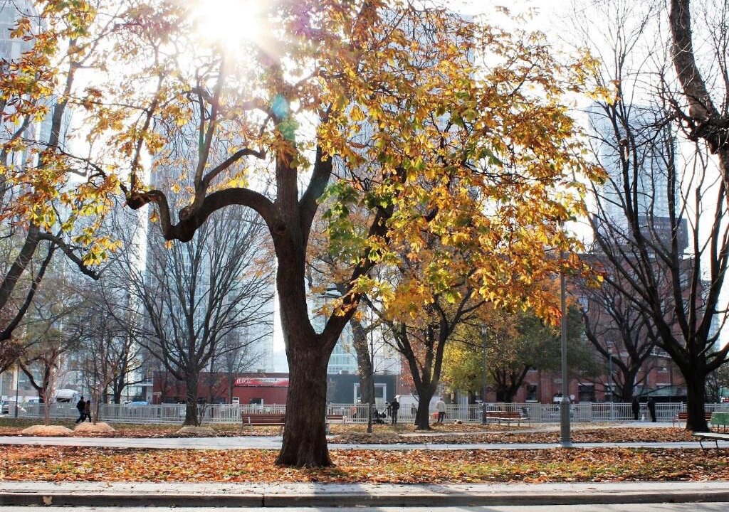 Photo of Outdoor in Wellington Place