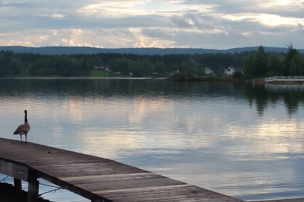 Photo of Outdoor in Larouche