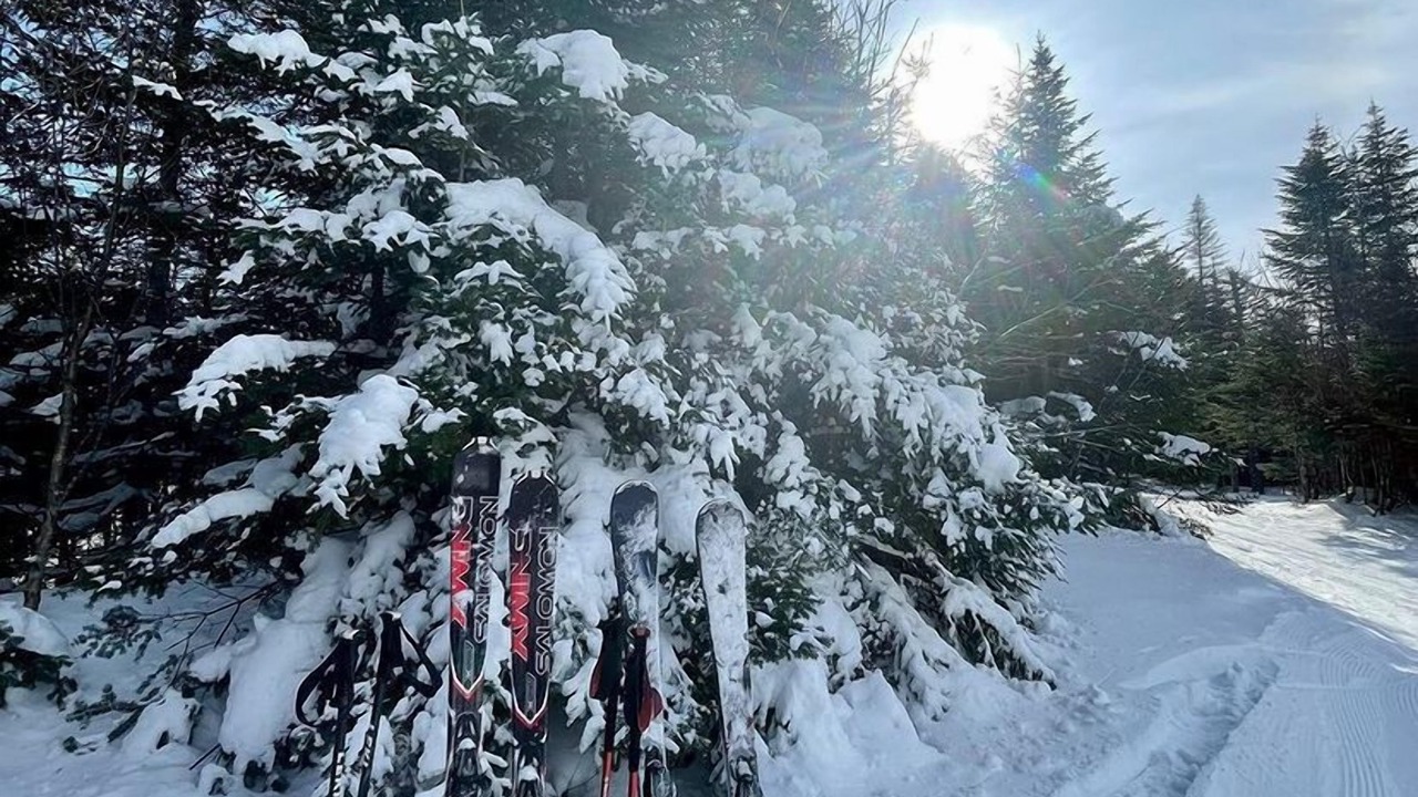 Photo of Others in Magog
