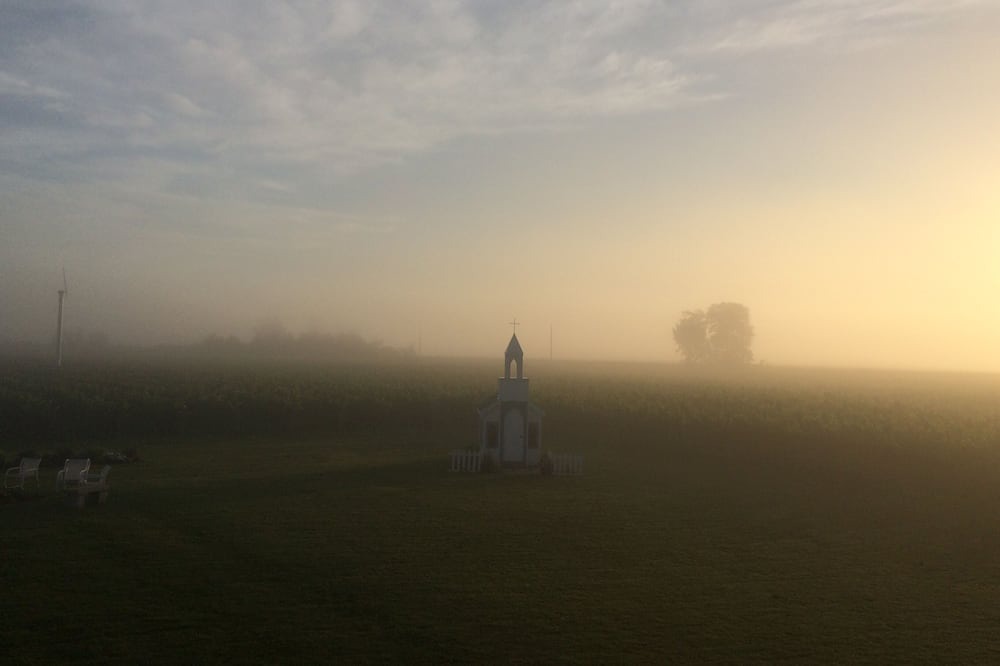 Photo of Others in Niagara-on-the-Lake