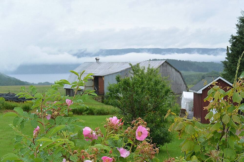 Photo of Outdoor in Sainte Rose du Nord