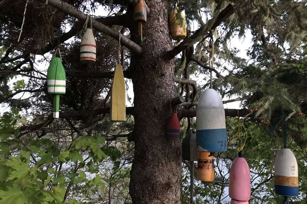 Photo of Others in Glen Margaret