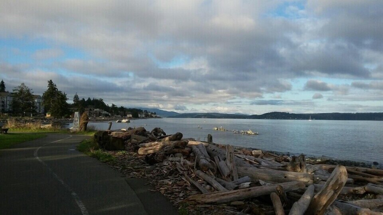 Photo of Others in Campbell River