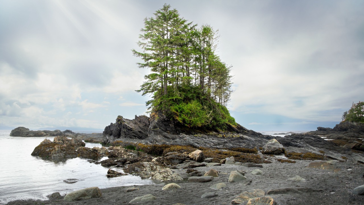Photo of Outdoor in Port Renfrew