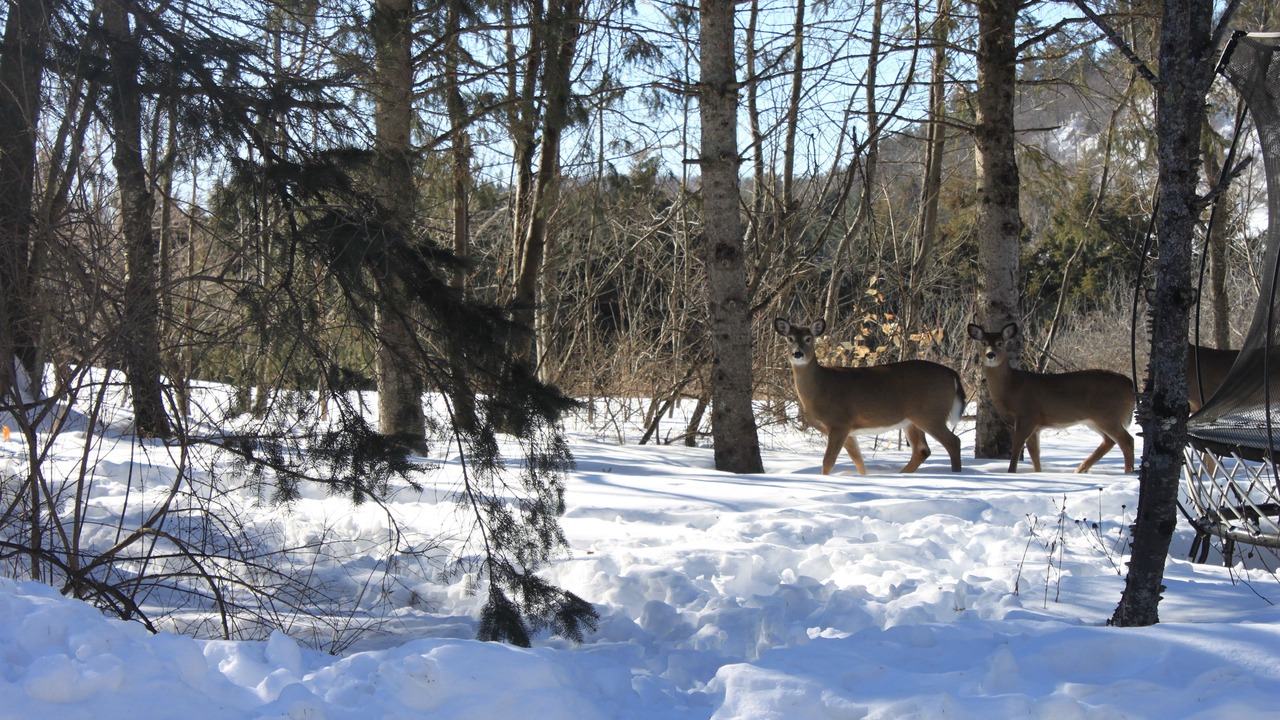 Photo of Outdoor in Wakefield