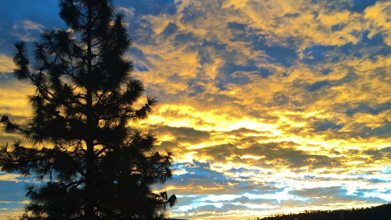 Photo of Others in Okanagan-Similkameen
