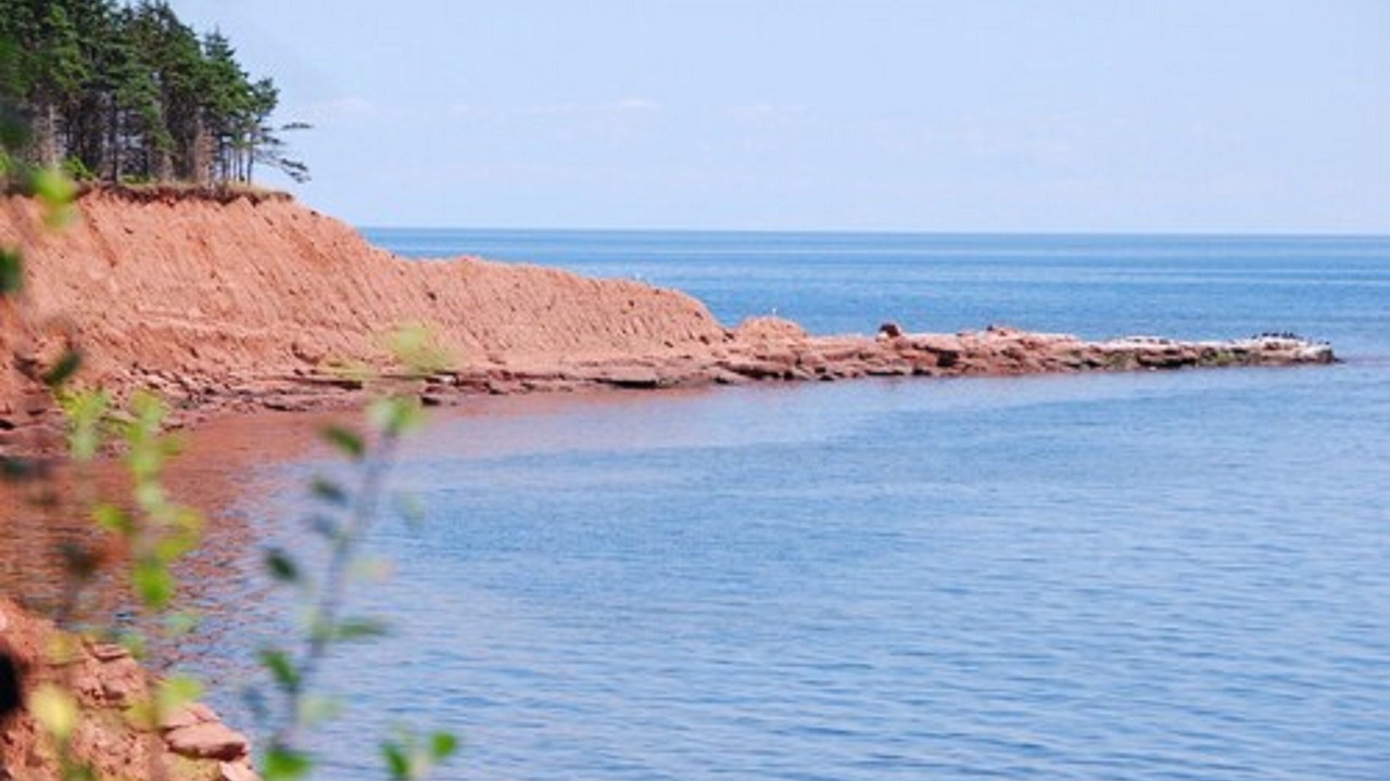 Photo of Outdoor in Little Pond