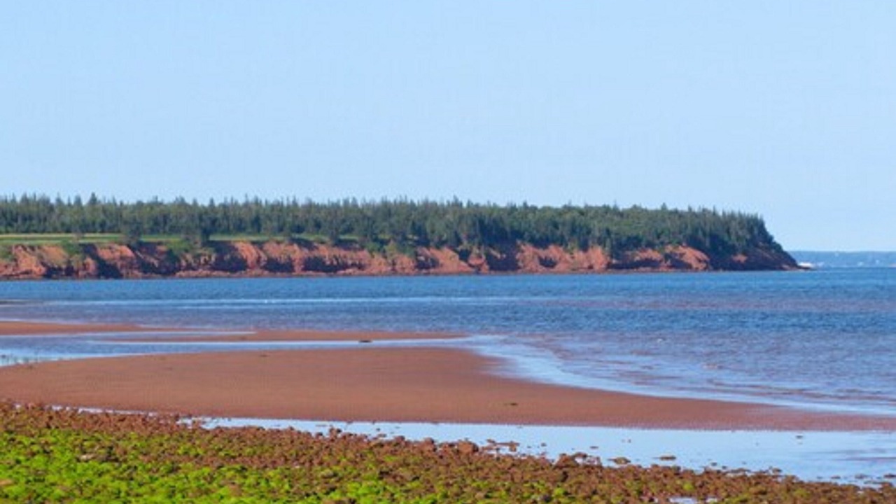 Photo of Others in Little Pond