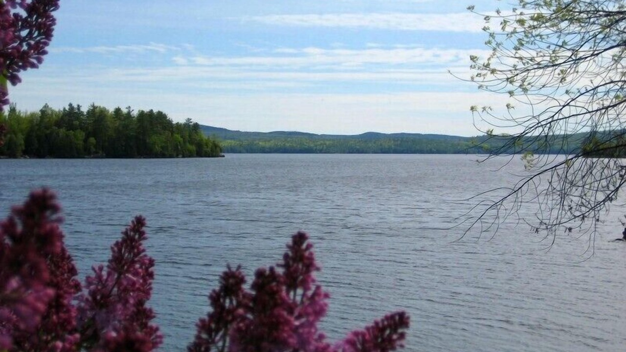 Photo of Outdoor in Calabogie