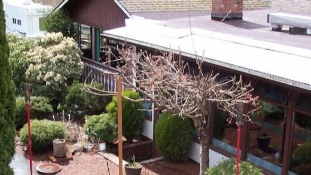 Photo of Outdoor in Port Alberni