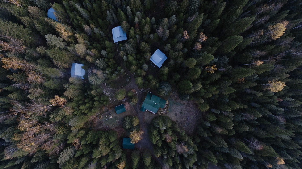 Photo of Outdoor in Ymir