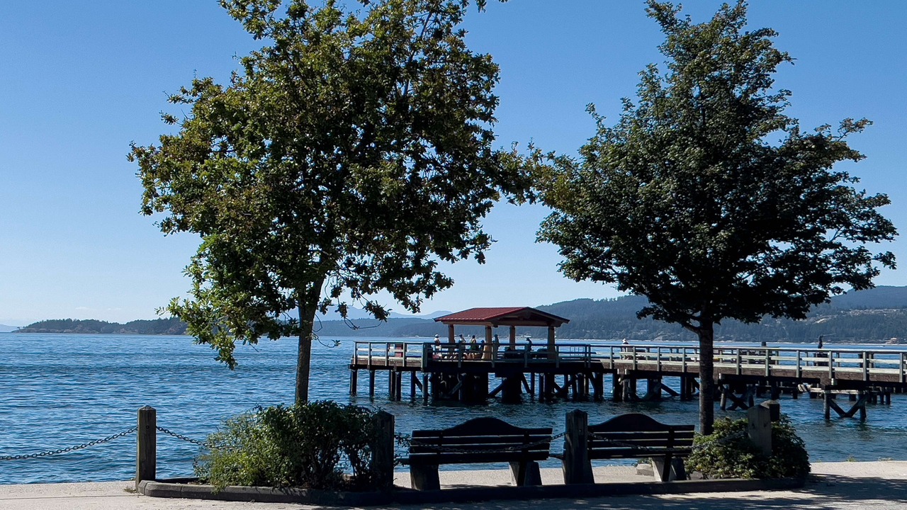 Photo of Outdoor in Davis Bay