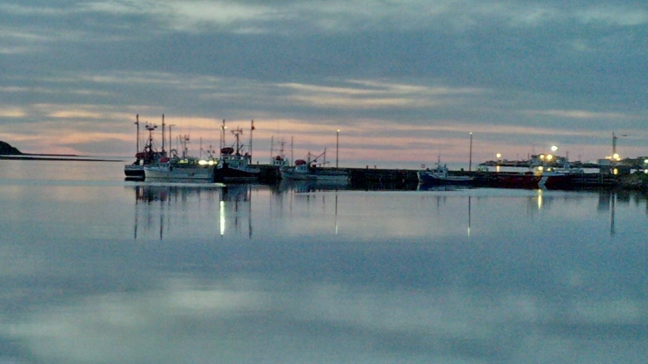 Photo of Outdoor in Petit-Etang