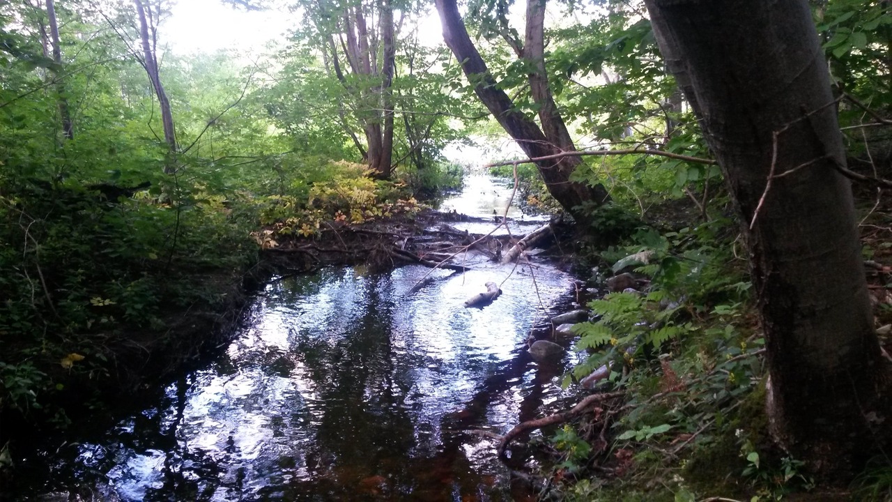 Photo of Outdoor in Petit-Etang