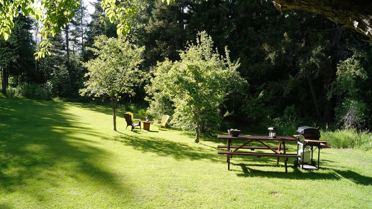Photo of Outdoor in Salmon Arm