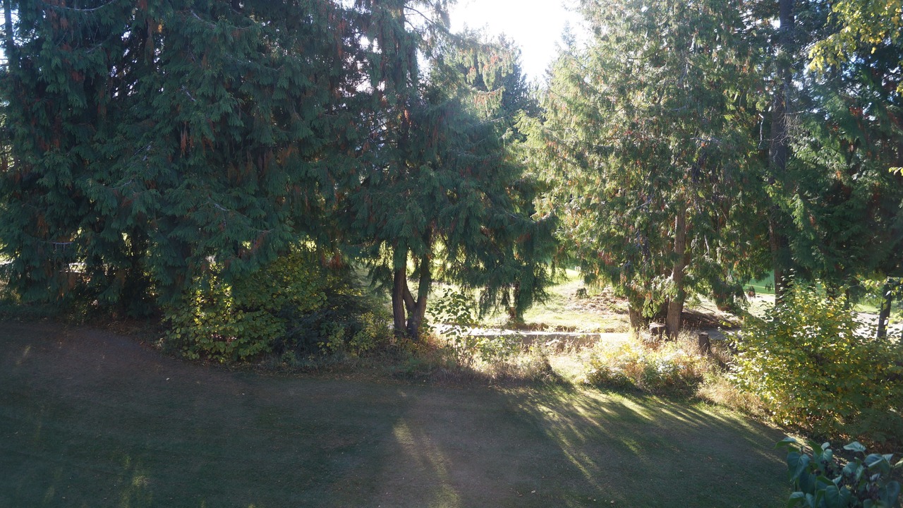 Photo of Bedroom in Salmon Arm
