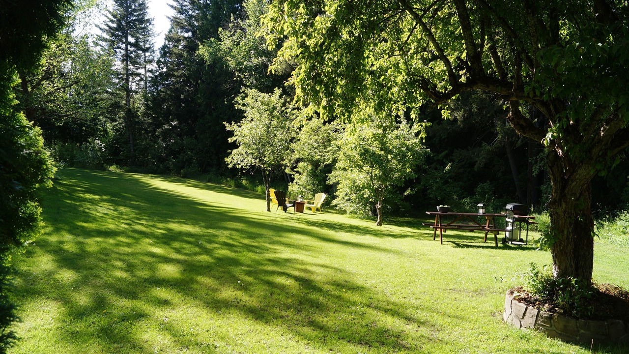 Photo of Outdoor in Salmon Arm