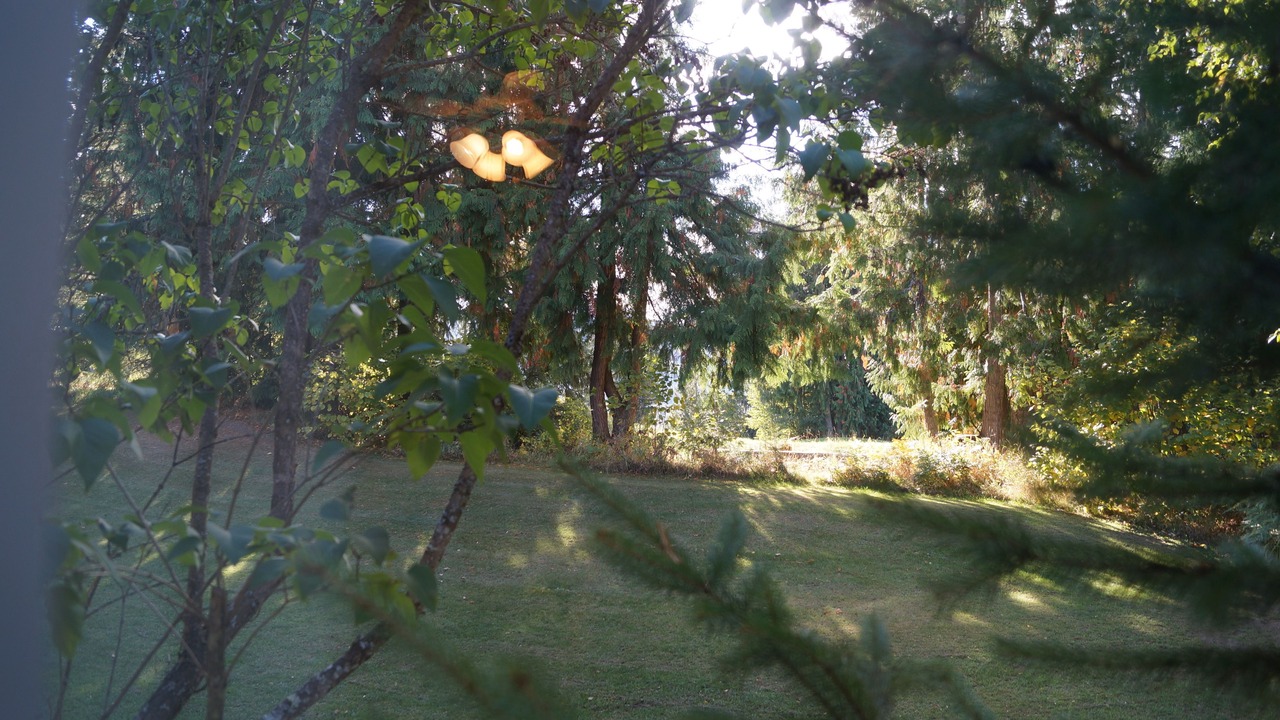 Photo of Outdoor in Salmon Arm