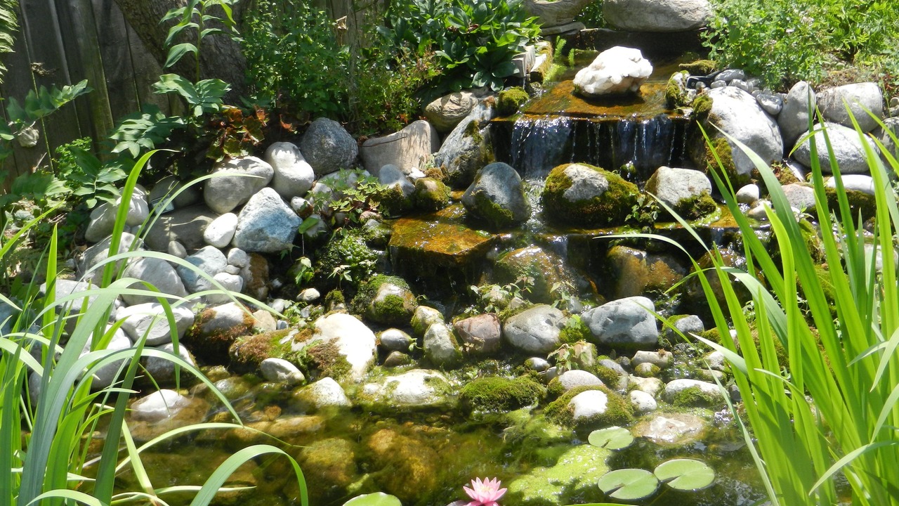 Photo of Outdoor in Stratford