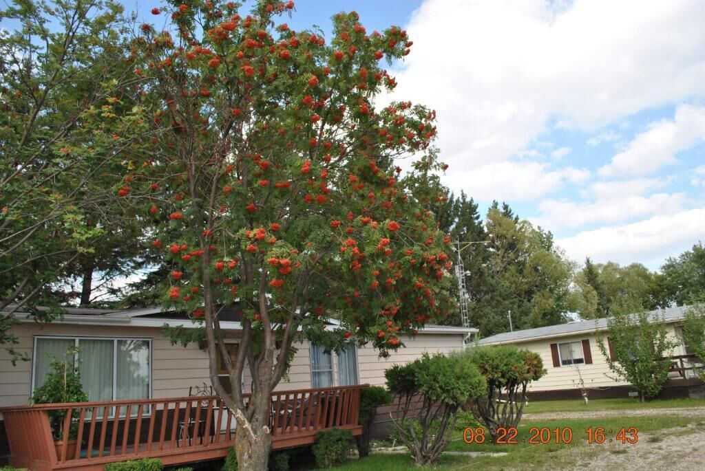 Photo of Outdoor in Neepawa