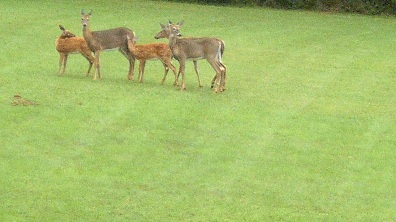 Photo of Outdoor in Mahone Bay