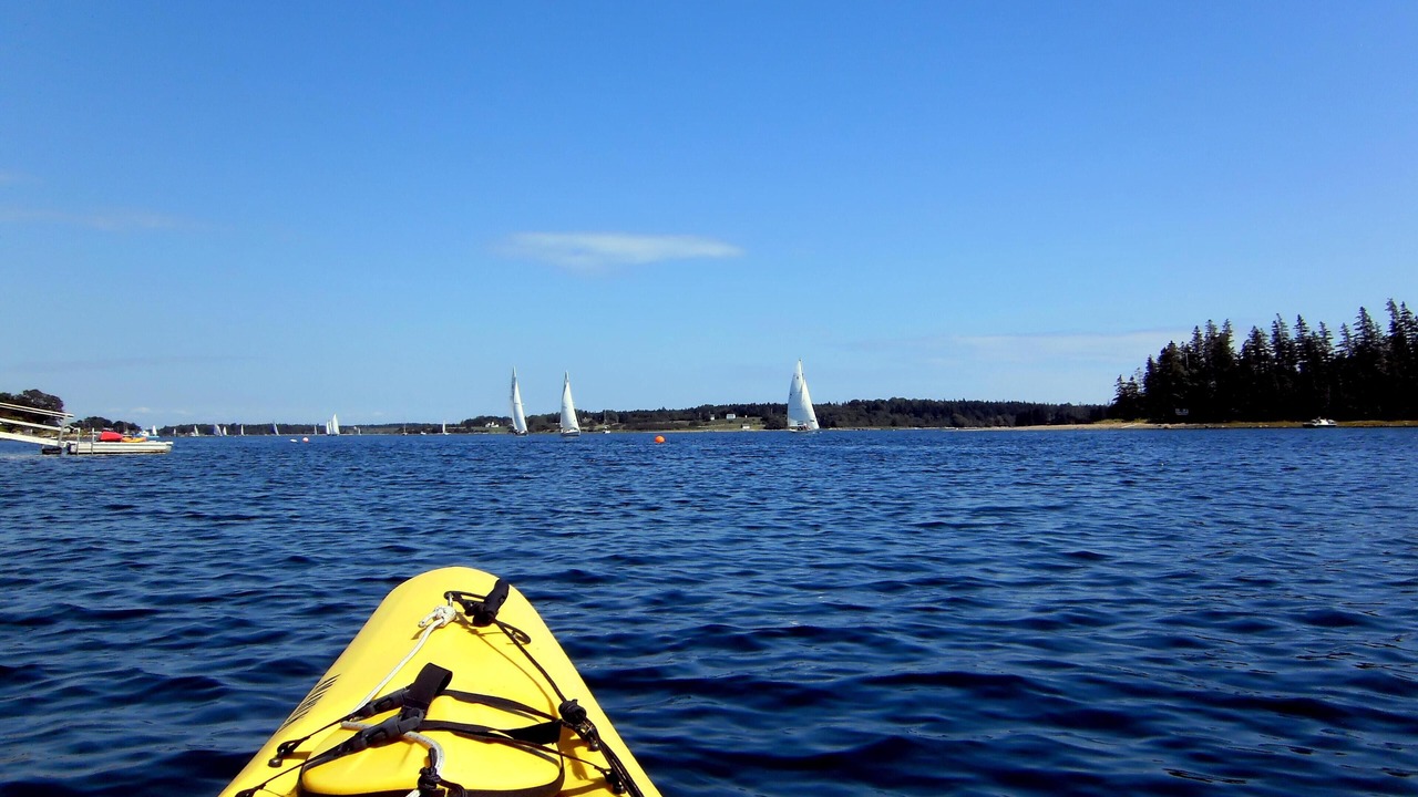 Photo of Others in Mahone Bay