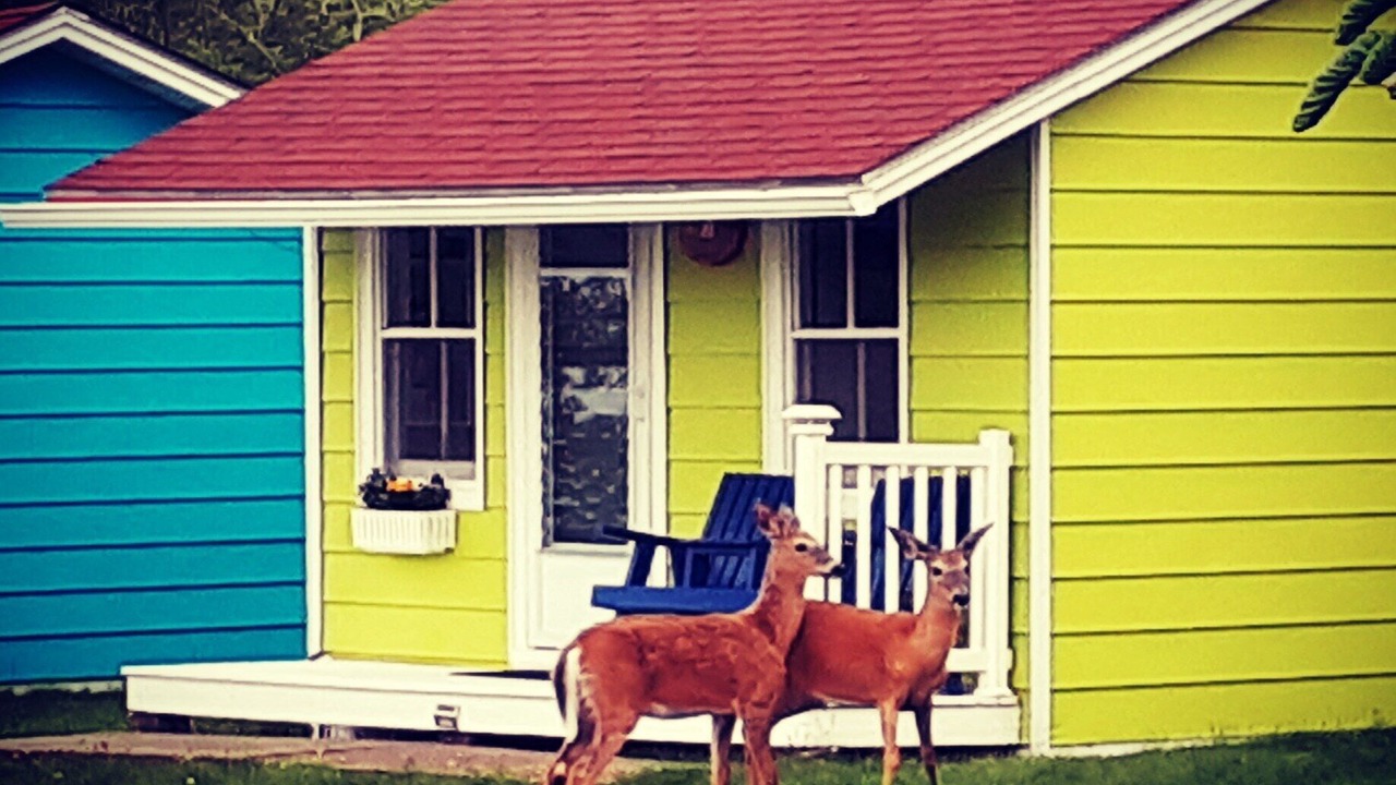 Photo of Outdoor in Lunenburg